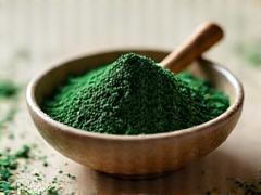 Green spirulina powder in a small bowl with a spoon.