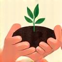 Illustration of a hand holding a seed in soil, representing sustainable sourcing.